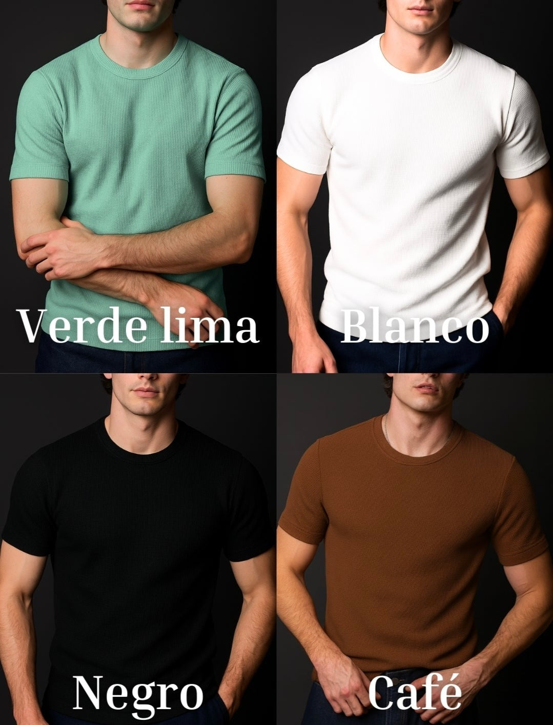 CAMISETA PREMIUM TELA GALLETA