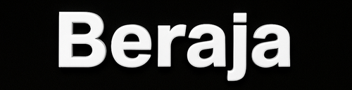 Beraja Shop
